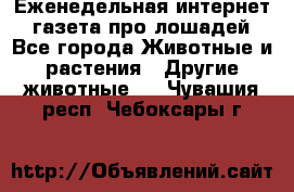 Еженедельная интернет - газета про лошадей - Все города Животные и растения » Другие животные   . Чувашия респ.,Чебоксары г.